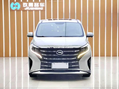 2021 GAC Trumpchi Trumpchi M8 Leading Show Series 390T Luxury Edition, фото 2, лот 10415263