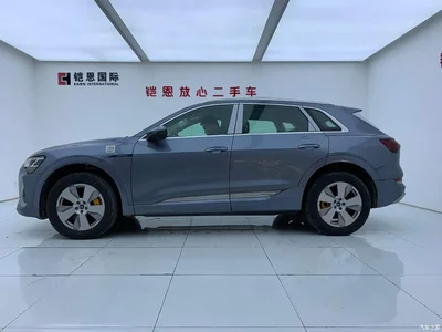 2021 Audi e-tron 50 quattro Luxury, фото 4, лот 10235877