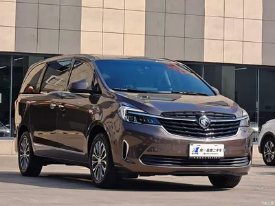 2021 Buick GL8 Land Business Class 652T Smart Luxury, фото 3, лот 10475960