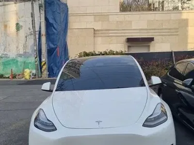 2021 Tesla Model Y Long Range AWD, фото 3, лот 10124077