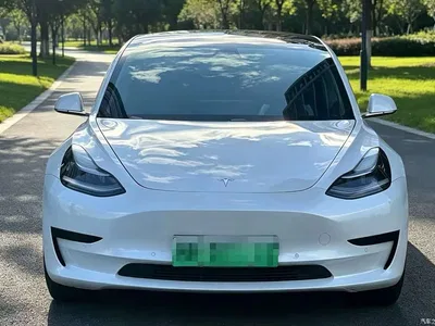 2019 Tesla Model 3 (Import) Standard Range RWD Upgraded Edition, фото 2, лот 10352148