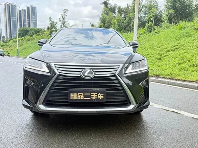 2016 Lexus RX 300 2WD Comfort Edition China VI, фото 2, лот 10442727