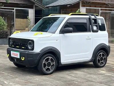 2024 Geely Galaxy Panda 200km Panda Knight, фото 1, лот 10431573