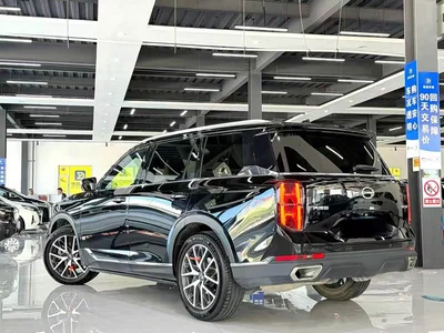 2025 GAC Trumpchi Trumpchi GS8 Pilot Series 2.0TGDI 2WD Luxury Edition 5-seater, фото 4, лот 10417268