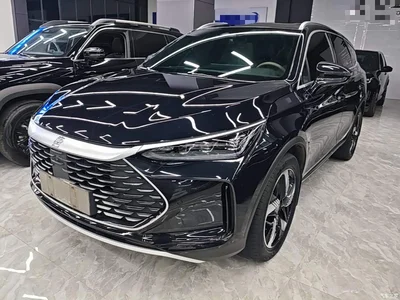 2024 BYD Tang New Energy DM-i Glory Edition 112KM Deluxe, фото 2, лот 11182685