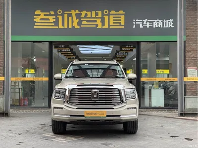 2022 Tank 500 3.0T Business Edition Zaojing 5-Seater, фото 2, лот 10344325