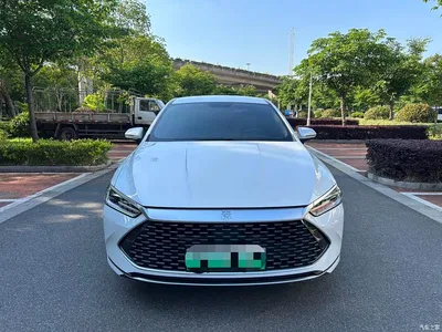 2023 BYD Qin PLUS Champion Edition DM-i 55KM Leading, фото 2, лот 10362987