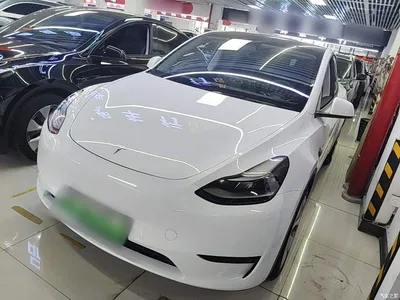 2022 Tesla Model Y Rear-Wheel Drive Version, фото 1, лот 10370367