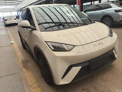 2023 BYD Seagull Vitality Edition, фото 4, лот 10903003