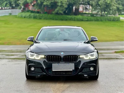 2017 BMW 3 Series 320Li M Sport, фото 2, лот 10481758