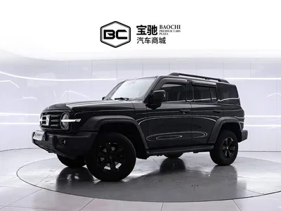 2023 Tank 300 Off-Road Edition 2.0T Conqueror, фото 1, лот 10666821