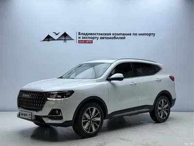 2023 Haval H6 National Trend Edition 1.5T Automatic Champion, фото 1, лот 10299925