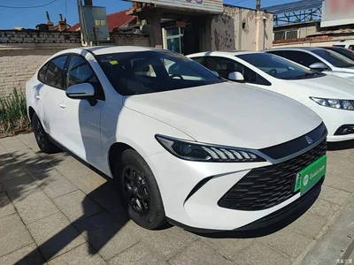 2026 BYD Qin PLUS DM-i Smart Edition 128KM Progressive, фото 4, лот 11567734