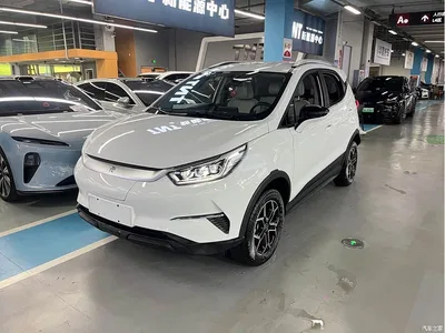 2021 BYD Yuan Pro Lifetime Love Edition, фото 1, лот 11224129
