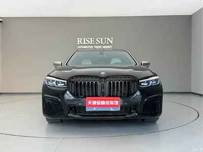 2011 BMW 7 Series 740i Base Model, фото 2, лот 10458406