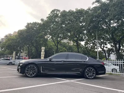 2019 BMW 7 Series Facelift 750Li xDrive V8 M Sport Package, фото 3, лот 10459679