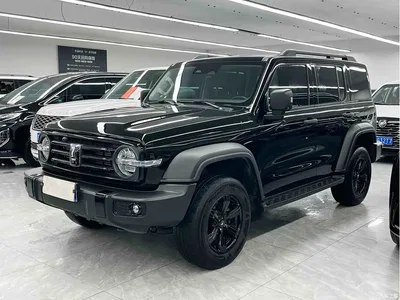 2023 Tank 300 Off-Road Edition 2.0T Conqueror, фото 1, лот 10344317