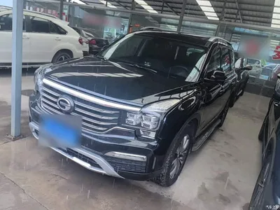 2017 GAC Trumpchi Trumpchi GS8 320T 2WD Luxury Smart Connect (7-seater), фото 2, лот 10421809
