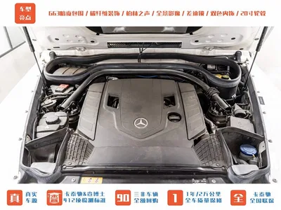 2019 Mercedes-Benz G-Class Facelift G 500, фото 4, лот 10255035
