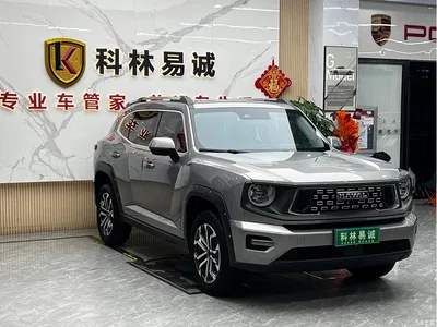 2023 Haval Da Gou 2nd Gen 2.0T AWD Wild Adventure Plus, фото 3, лот 10297543