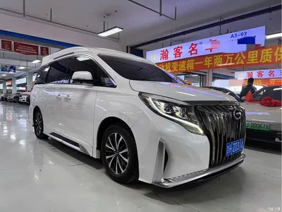 2023 GAC Trumpchi Trumpchi M8 Leading Series 390T Luxury Edition, фото 3, лот 10420034