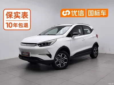 2021 BYD Yuan Pro 401KM Premium Model, фото 1, лот 10359098