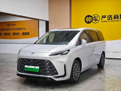 2025 Buick GL8 New Energy Land Honor Premium Edition 7-Seater, фото 1, лот 10273650