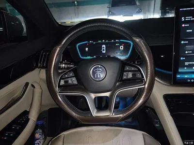 2021 BYD Song PLUS PHEV DM-i 110KM Flagship PLUS, фото 3, лот 11134222