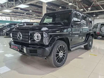 2019 Mercedes-Benz G-Class Facelift G 500, фото 1, лот 10296738