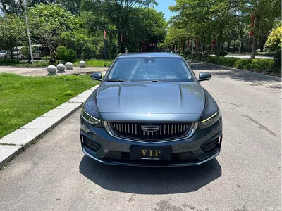 2021 Geely Xing Rui 2.0TD Premium, фото 2, лот 10361544