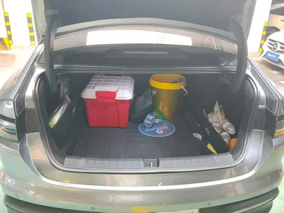 2025 BYD Hai Bao 05 DM-i DM-i Smart Drive Edition 55KM Premium, фото 4, лот 10274028