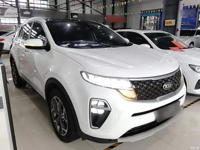 2019 Kia KX5 1.6T Auto 2WD Elite Edition, фото 4, лот 10337804