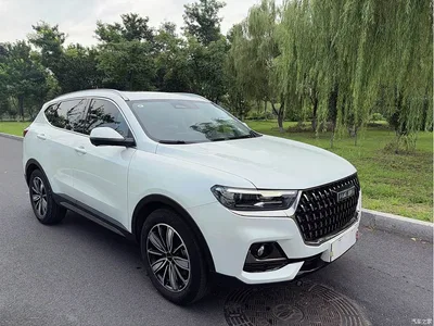 2023 Haval H6 National Trend Edition 1.5T Automatic Champion, фото 3, лот 10283567