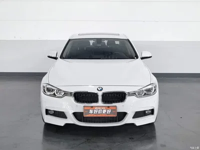 2019 BMW 3 Series 320Li M Sport Package, фото 3, лот 10816384