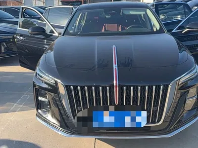 2025 Hongqi H5 2.0T Automatic Flag Celebration 500,000 Units Anniversary Edition, фото 1, лот 10288875