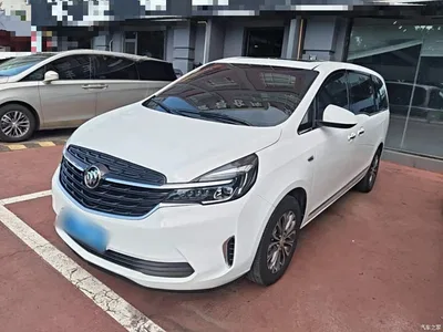 2021 Buick GL8 Land Business Class 652T Luxury, фото 2, лот 10442960