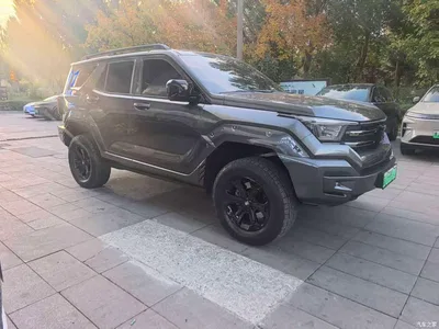 2024 Tank 400 New Energy Hi4-T Off-Road Edition, фото 3, лот 11571418