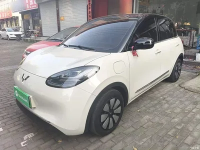 2024 Wuling Motors Wuling Bingo 333km Comfort Edition, фото 2, лот 11585688