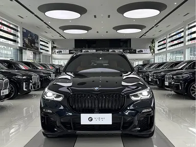 2020 BMW X5 (Import) xDrive40i M Sport Package, фото 2, лот 10448677