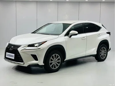 2020 Lexus NX 200 FWD Fengyi Edition China VI, фото 1, лот 10025227