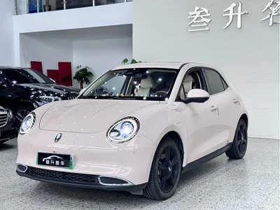2024 Ora Good Cat 401km Honor 135kW, фото 1, лот 10330831