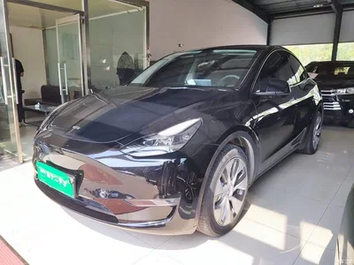2021 Tesla Model Y Standard Range Rear-Wheel Drive, фото 1, лот 10812308