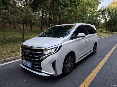 2021 GAC Trumpchi Trumpchi M8 Leading Show Series 390T Ultimate Edition, фото 1, лот 11580531