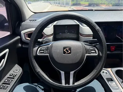 2021 Sehol Flower Fairy 302km Surpass Edition 31.4kWh, фото 4, лот 11153495