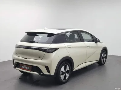 2023 Byd Dolphin, фото 2, лот 10245343