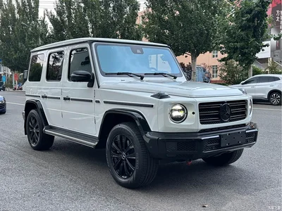 2024 Mercedes G Klasse, фото 4, лот 10247304