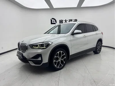 2021 BMW X1 sDrive25Li Leading, фото 1, лот 10466346