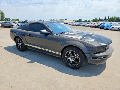 2007 FORD MUSTANG, фото 4, лот 10573279