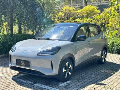 2024 Wuling Motors Wuling Binguo PLUS 401km Flagship 4-Seater, фото 1, лот 10836487