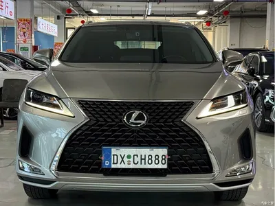 2020 Lexus RX 300 2WD Elite Edition China VI, фото 2, лот 10317609